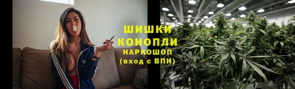 трава Елизово