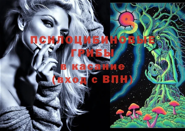 трава Елизово