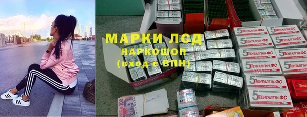 spice Новозыбков