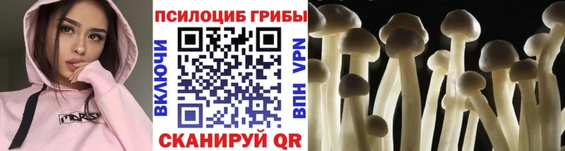 Псилоцибиновые грибы мицелий  Протвино 
