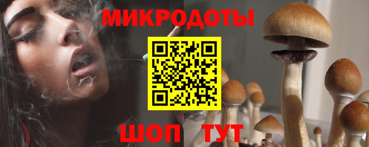 Галлюциногенные грибы мицелий Протвино